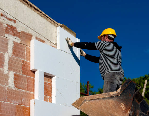 Best Residential Insulation in Savanna, IL