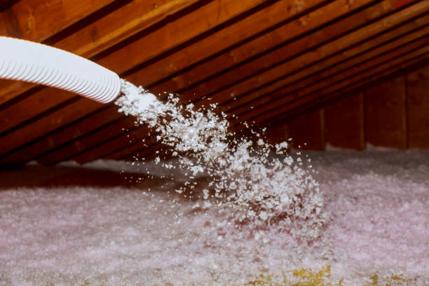 Best Insulation Materials and Products in Savanna, IL