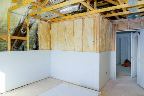 Best Insulation Maintenance and Repair in Savanna, IL