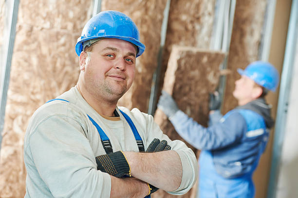 Best Commercial Insulation in Savanna, IL