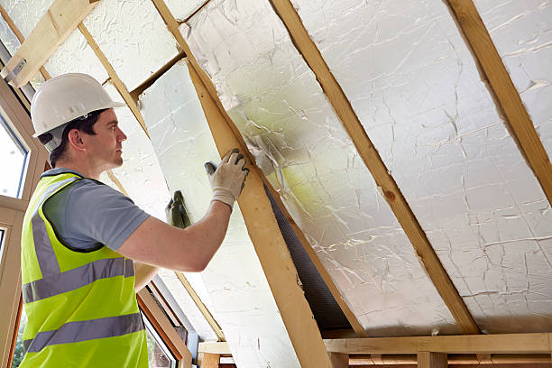 Best Energy Efficiency Solutions in Savanna, IL