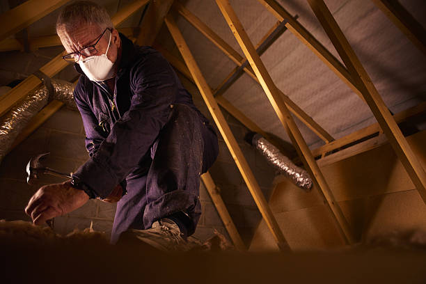 Best Types of Insulation in Savanna, IL